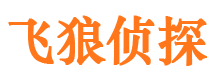 兴平市调查公司